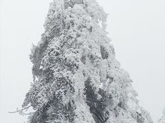 -峨眉山风景名胜区