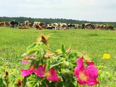 -北极村旅游风景区