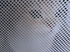 -瑞派宠物医院·24h·骨外科·皮肤科·全科宠物医疗转诊中心(沈阳浑南院)