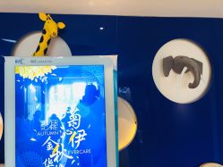 -番小茄小儿推拿(望京店)