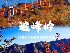 -周口店坡峰岭风景区