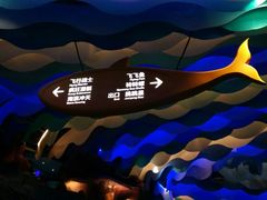 -青岛嘉年华主题乐园