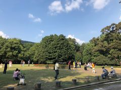 -灵谷景区