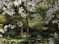 -杭州植物园