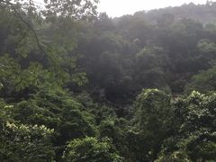 -赤水丹霞旅游区·佛光岩
