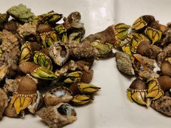 -舌尖上·霞浦滩涂海鲜·新闽菜(总店)
