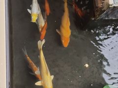 -美林大浴场(奥体中心店)