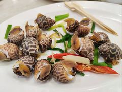 -长平老姿娘夜粥(平东一街店)