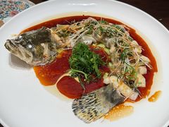 -觅唐MITONG(鸟巢店)