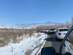 -新疆天山野生动物园