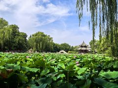 -莲池书院博物馆