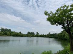 -上海野生动物园