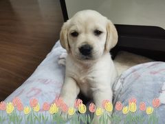 -圣宠动物医院·犬猫专科·影像中心·外科中心