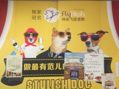 -神采飞扬宠物美容(香港路店)