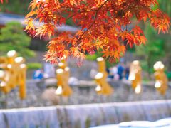 -宁波浙东大竹海景区