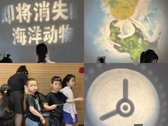 -黄浦区瑞金二路社区文化活动中心