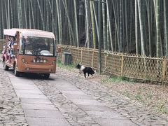 -黄公望隐居地