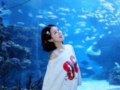 -海合安成都极地海洋公园