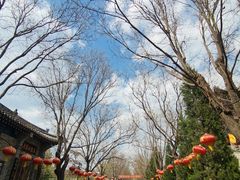 -大槐树寻根祭祖园