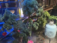 -红蜡烛-养生粥-津鲁菜(中山路店)