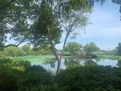 -无锡蠡湖国家湿地公园-蠡园