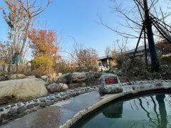 -太白山御龙湾温泉