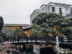 -猪肉婆私房菜(容桂总店)