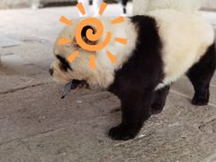 -好成财牛排馆(涂门街总店)