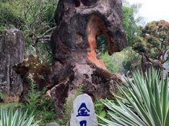 -云南勐巴娜西珍奇园