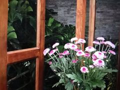 -兰纳泰式spa(古城店)