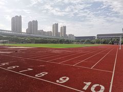 -上海师范大学附属中学(三林校区)