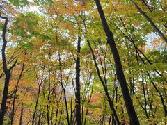 -崂山九水游览区