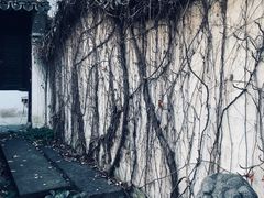 -绮园景区