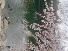-钓鱼台国宾馆