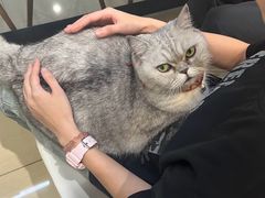 -Oasis绿洲银饰珍珠手作diy(壹方城店)