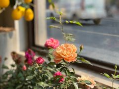 -思南书局·诗歌店