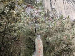 -卡定沟景区