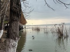 -捞渔河湿地公园