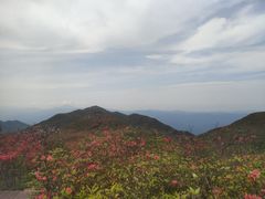 -大围山国家森林公园