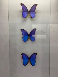 -酷嗒动物文化乐园(cutezoo西溪乐天城店)