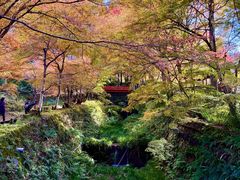 -三千院