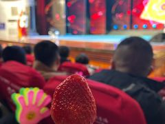 -南风大剧院莎梦二人转剧场