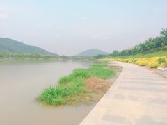 -风云岭森林公园