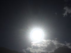 -上海佘山国家森林公园西佘山园