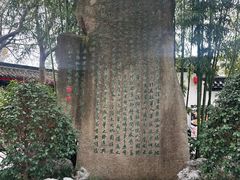 -南汇桃花村