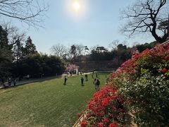 -红螺寺