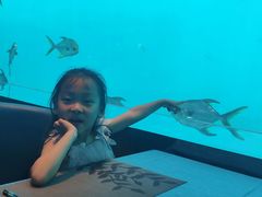 -瑞德姆美人鱼海底演艺主题餐厅(亚龙湾店)