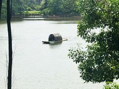 -金山植物公园