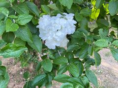 -钟山体育运动公园