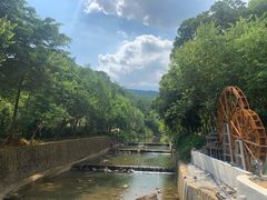 -广州白江湖森林公园